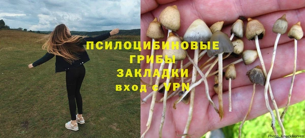 ALPHA-PVP Майский