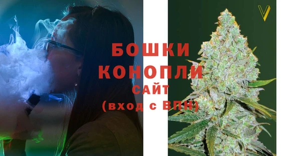 ГАЛЛЮЦИНОГЕННЫЕ ГРИБЫ Магадан