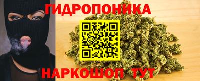 прущие грибы Ирбит