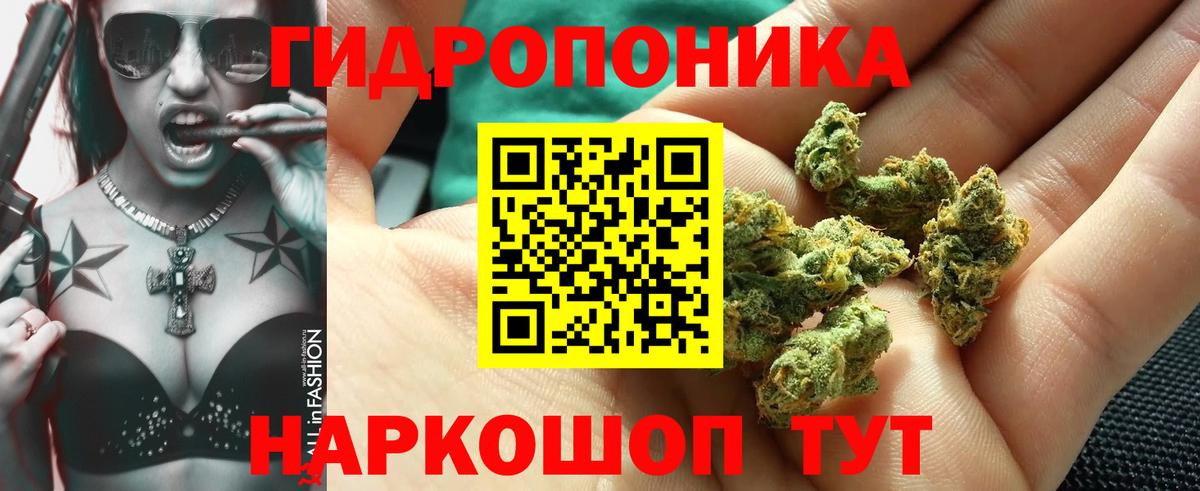 Бошки Шишки Amnesia  Бошки Шишки VHQ  Урай  Вход с VPN  Бошки марихуана сатива 